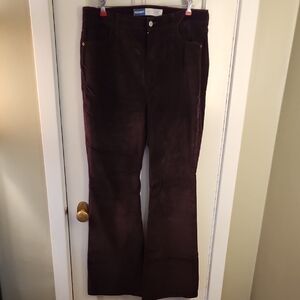 2 for 1! Velvet Flare Pant Bundle